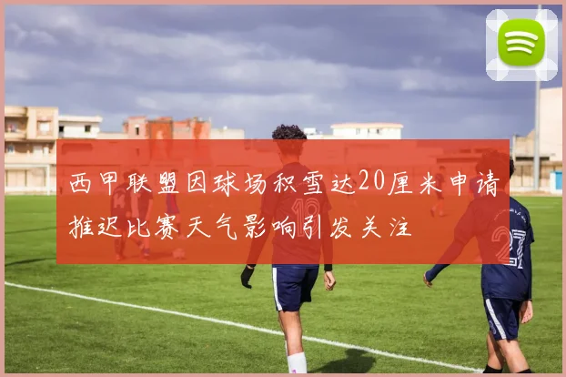 西甲联盟因球场积雪达20厘米申请推迟比赛天气影响引发关注