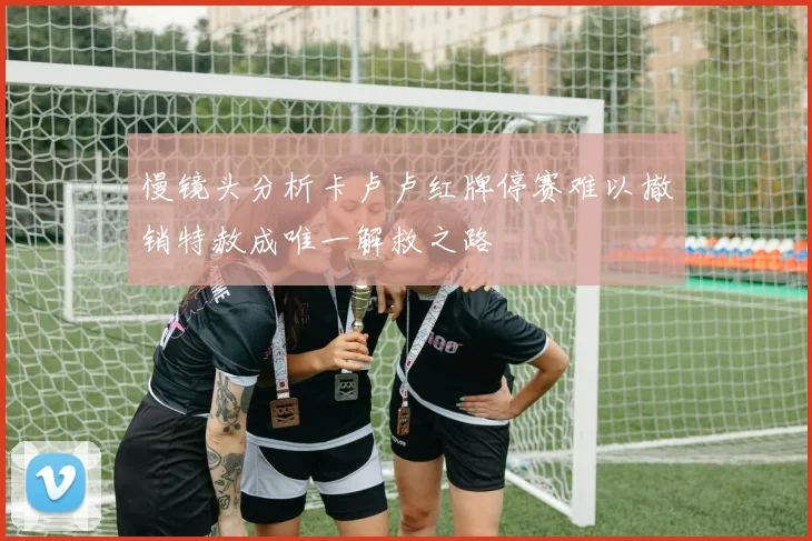 慢镜头分析卡卢卢红牌停赛难以撤销特赦成唯一解救之路