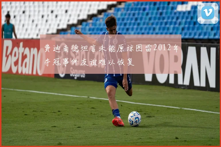 费迪南德坦言未能原谅图雷2012年夺冠事件友谊难以恢复