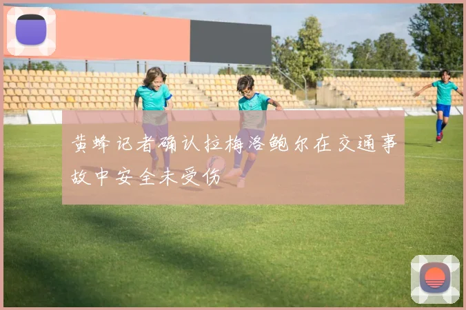 黄蜂记者确认拉梅洛鲍尔在交通事故中安全未受伤