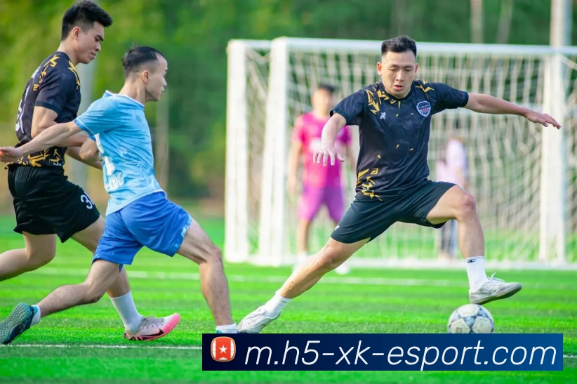 星空电竞平台生态图